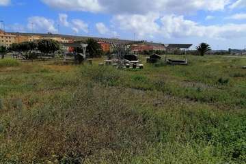 Abandono del Parque de las Mil Palmeras del Valle de Jinámar/TA.